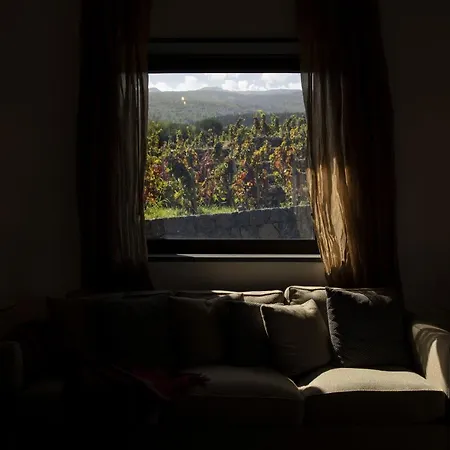 Casa Prefillossera Palmento Costanzo Passopisciaro